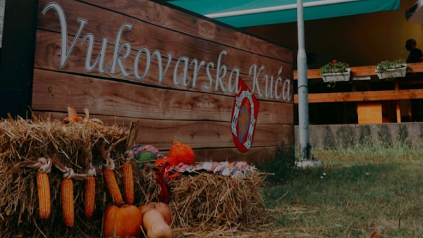 Vukovarska kuća - Park adica Vukovar - Image 1