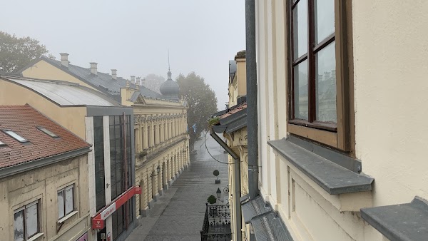 Domestic House Lola - Image 1