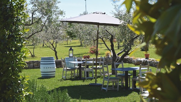 Konoba Bocun, Petrovija - Image 1