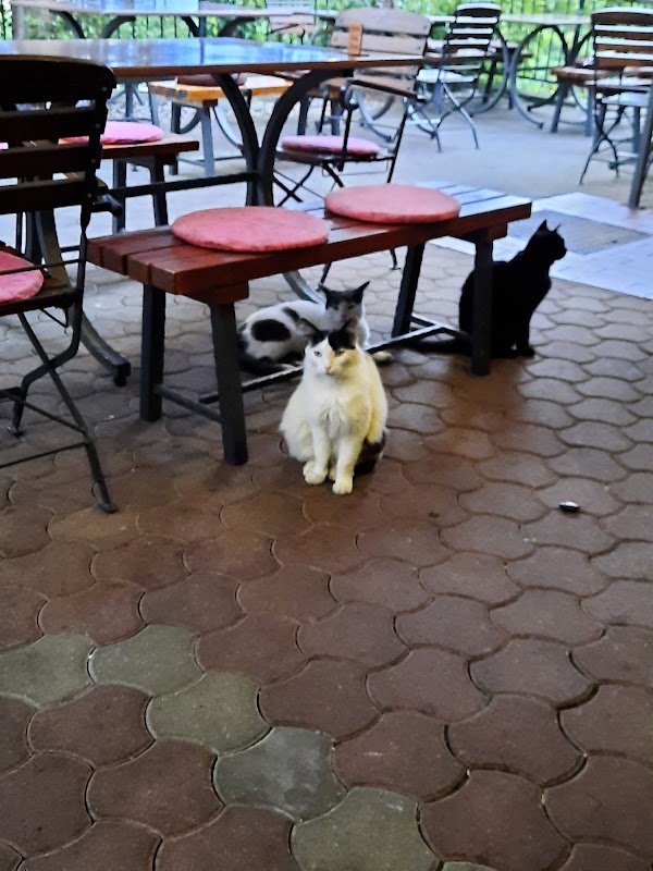 Konoba Maretina - Image 1