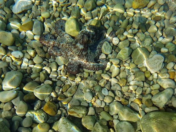 Plaza Rovenska - Image 1