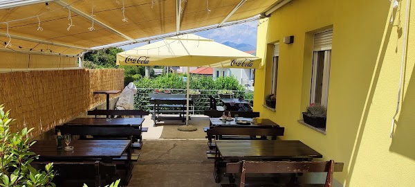 Oliva grobnik - Image 1