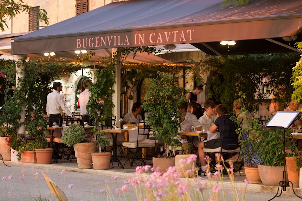 Bugenvila in Cavtat - Image 1