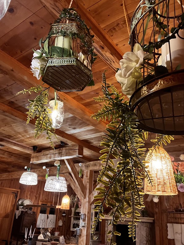 Teresa Osteria Di Campagna - Image 1