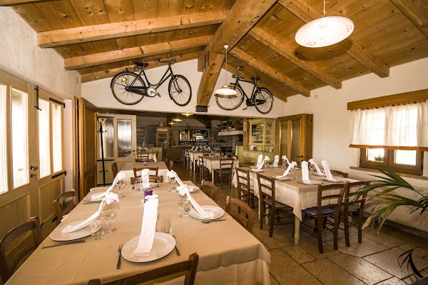 Puli Pineta - Image 1